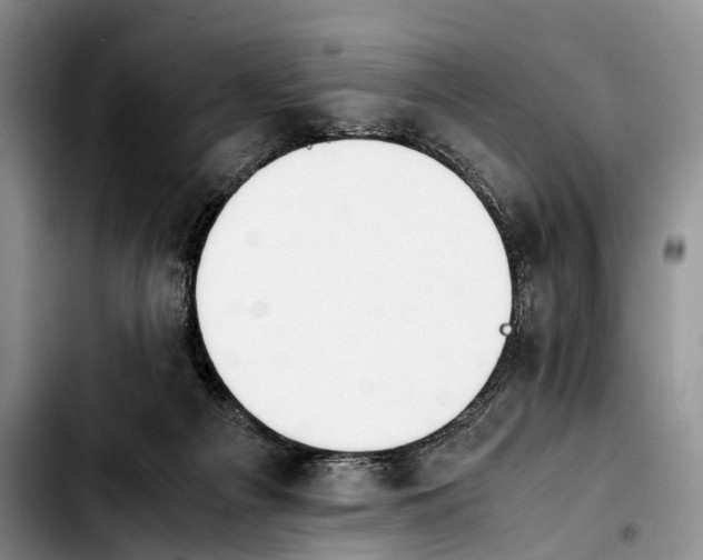 X0000103940121200810101424