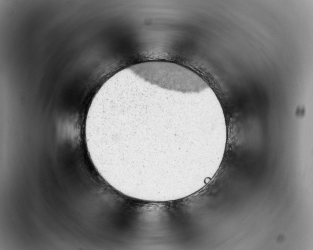 X0000103940124200810101424