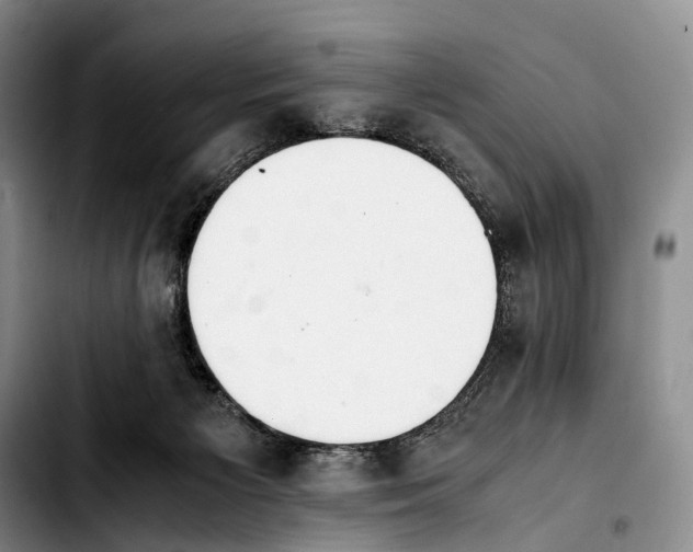 X0000103940125200810101424