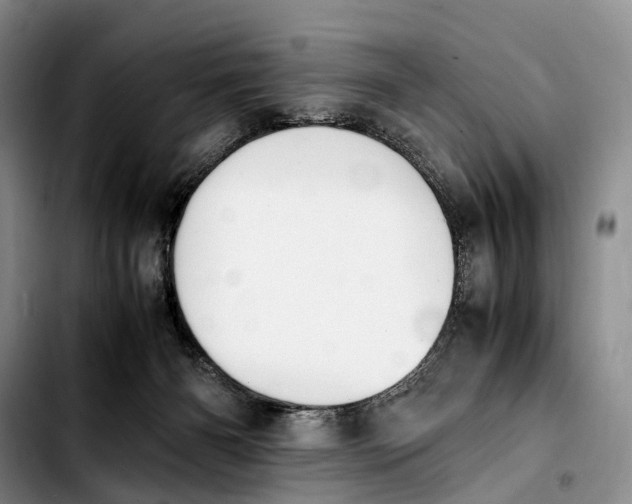 X0000103940126200810101424