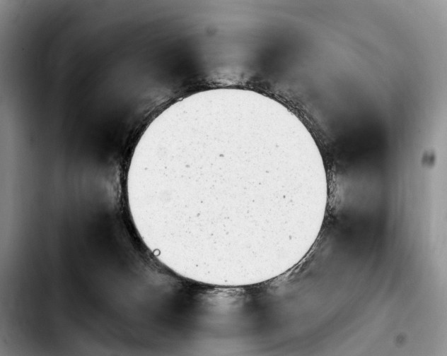 X0000103940128200810101424