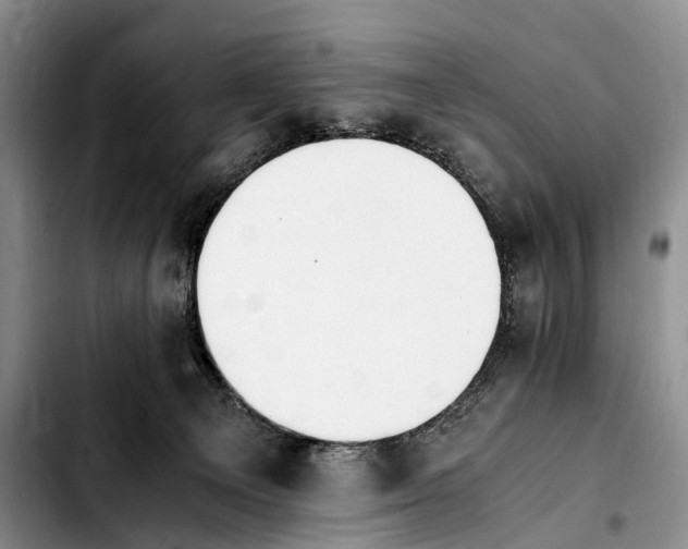 X0000103940129200810101424