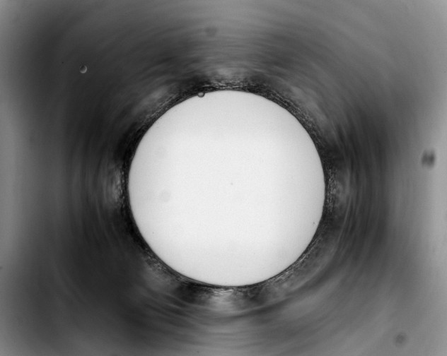 X0000103940130200810101424