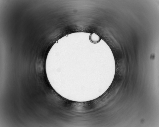 X0000103940131200810101424