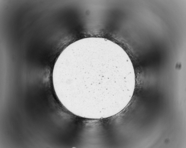 X0000103940132200810101424