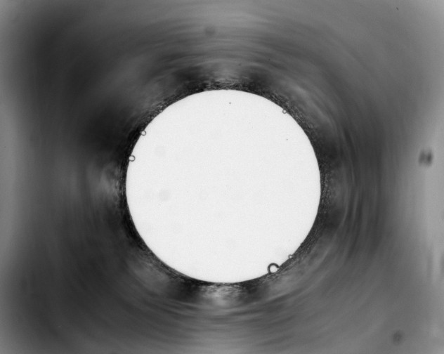 X0000103940135200810101424