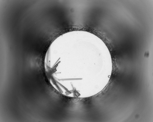 X0000103940136200810101424