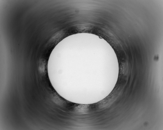 X0000103940138200810101424