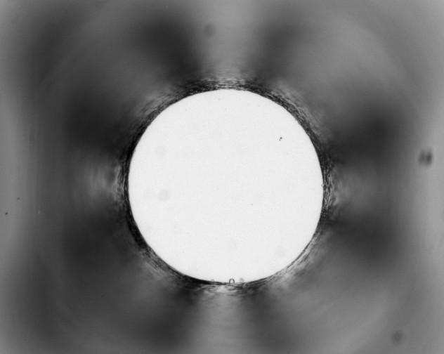 X0000103940140200810101424