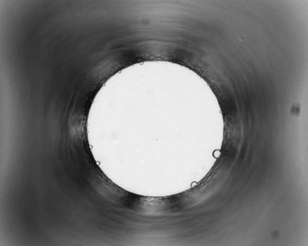 X0000103940141200810101424