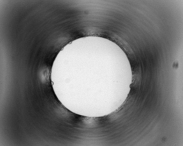 X0000103940142200810101424