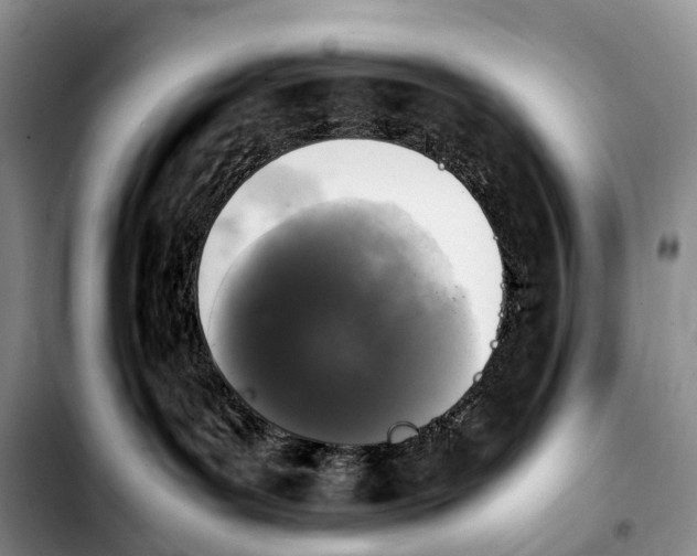 X0000103940143200810101424