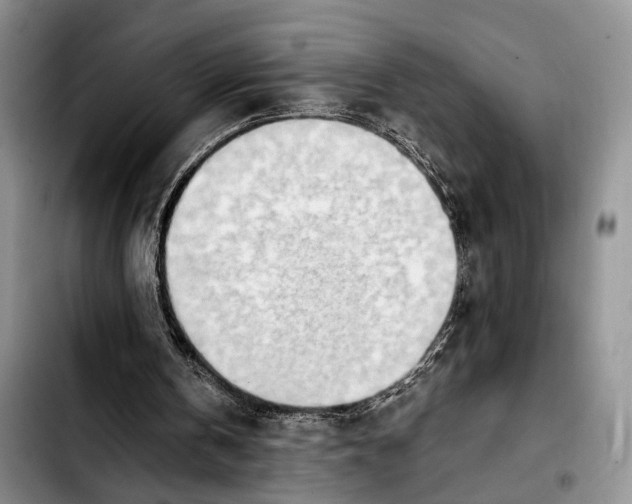 X0000103940146200810101423