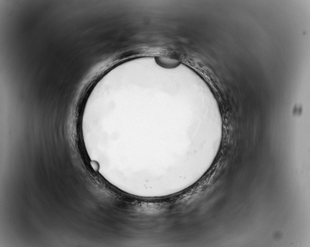 X0000103940149200810101423