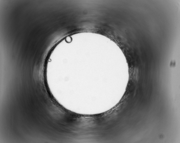 X0000103940150200810101423