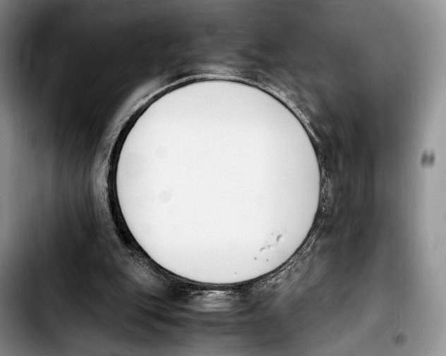 X0000103940151200810101424