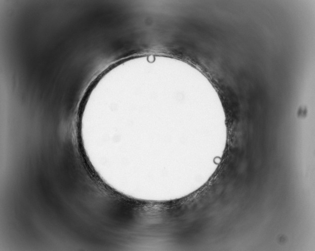 X0000103940152200810101424