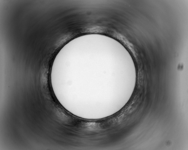 X0000103940153200810101424