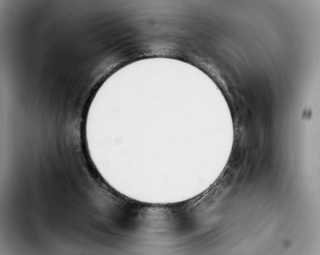 X0000103940154200810101424