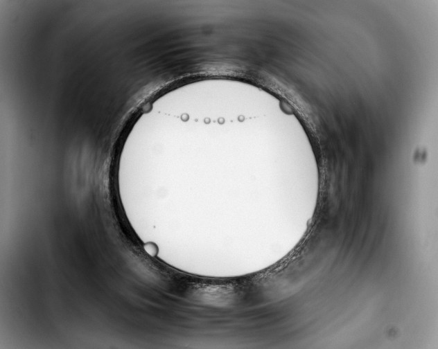 X0000103940155200810101424