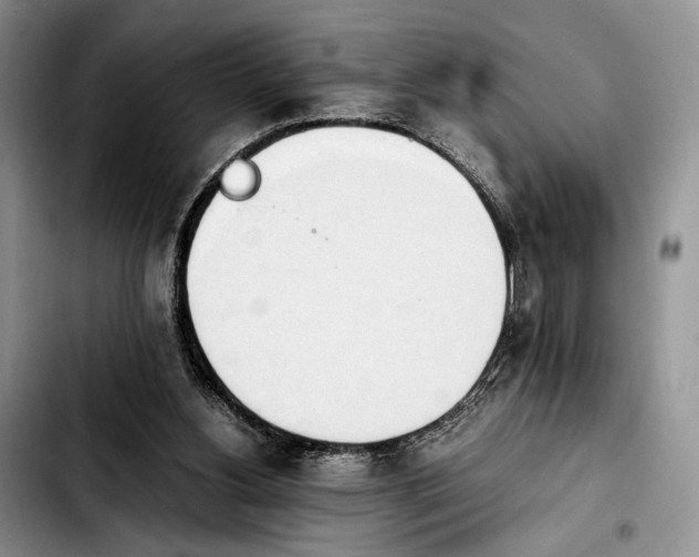 X0000103940156200810101424