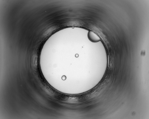 X0000103940157200810101424