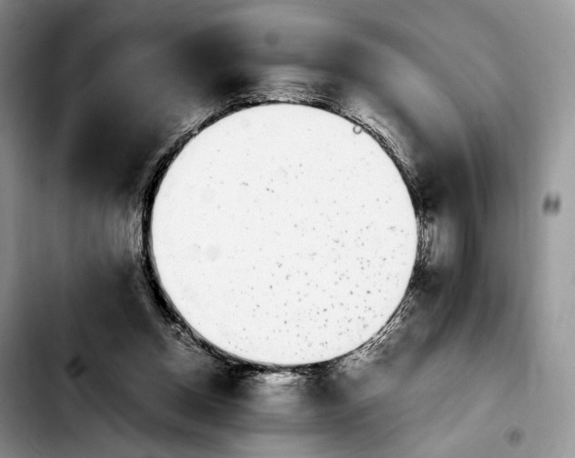 X0000103940158200810101424