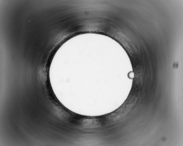 X0000103940160200810101424