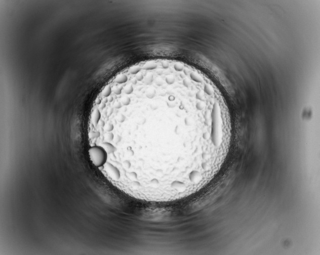 X0000103940161200810101424