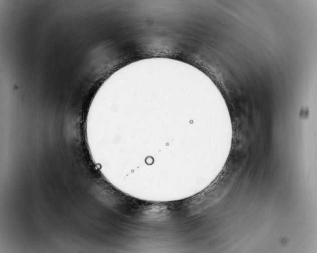 X0000103940162200810101424