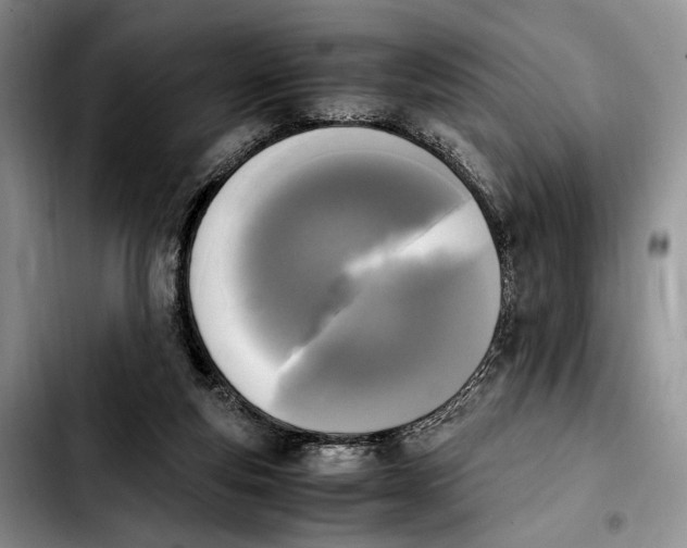 X0000103940163200810101424