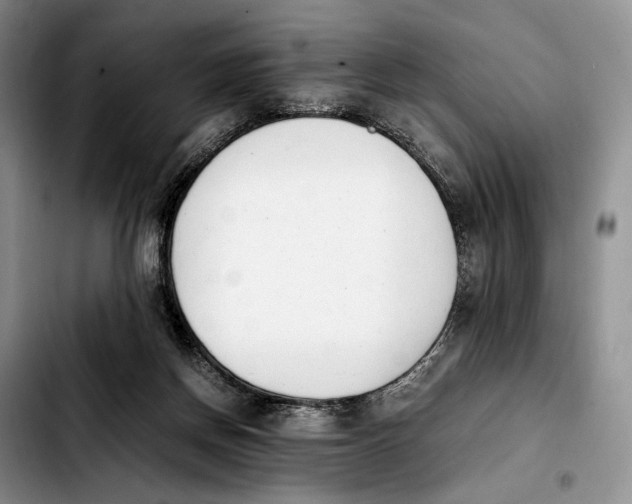 X0000103940166200810101424