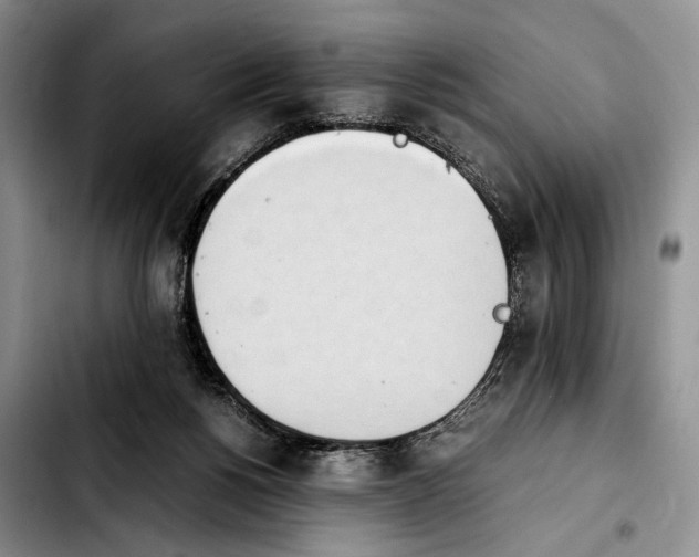 X0000103940168200810101424