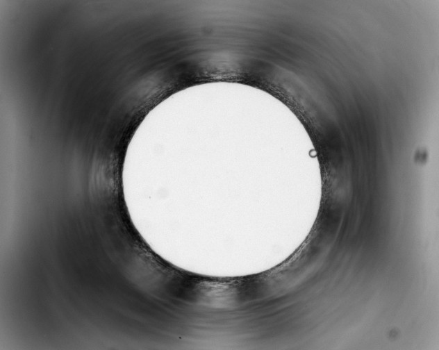 X0000103940170200810101424