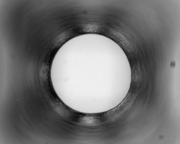 X0000103940171200810101424