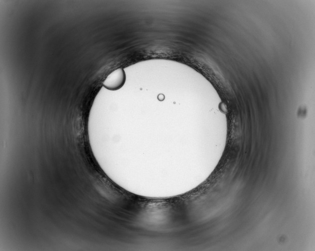 X0000103940173200810101424