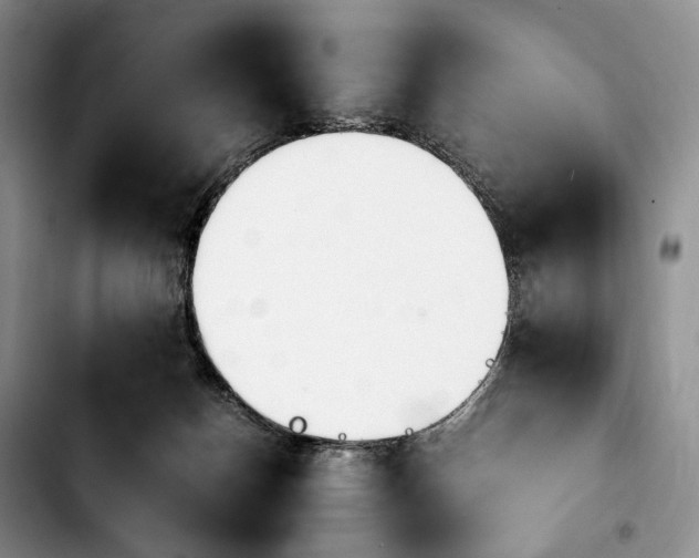 X0000103940174200810101424