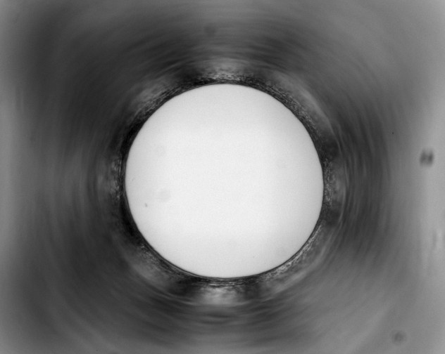 X0000103940175200810101424