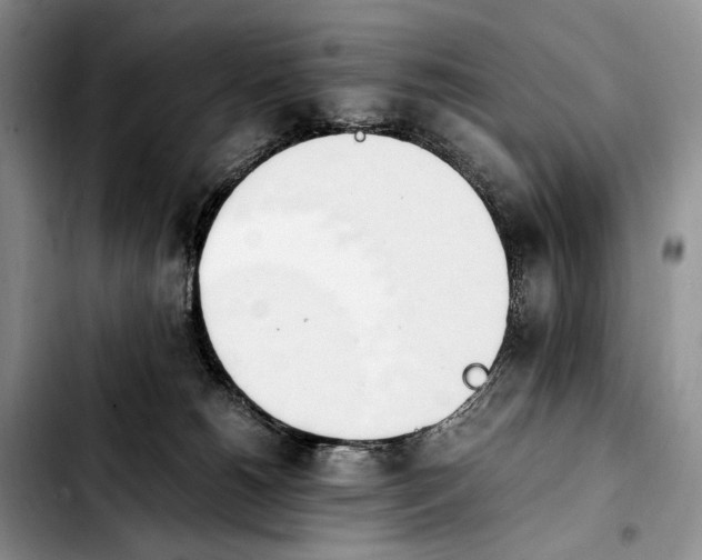 X0000103940180200810101424