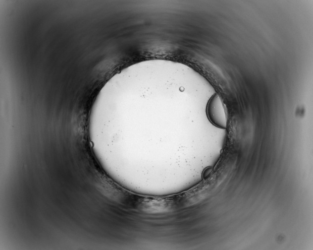 X0000103940181200810101424