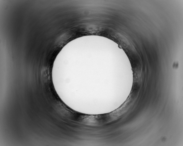 X0000103940182200810101424