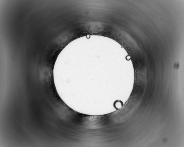 X0000103940184200810101424