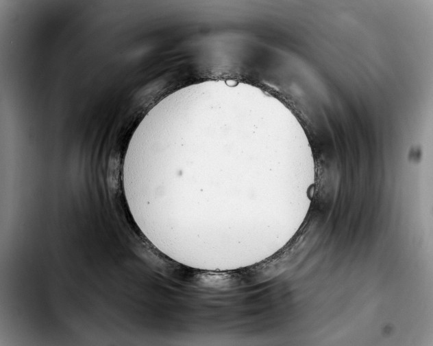 X0000103940189200810101424