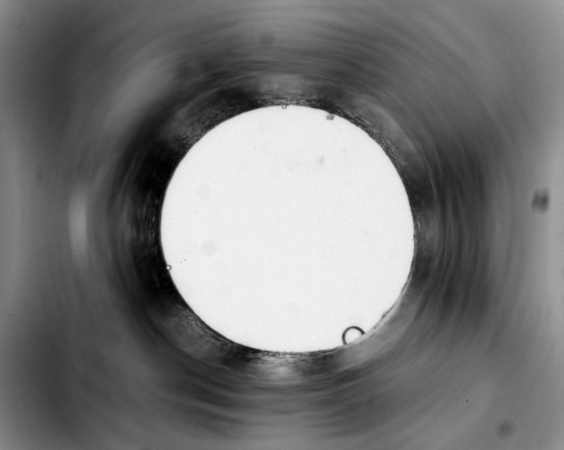 X0000103940190200810101424