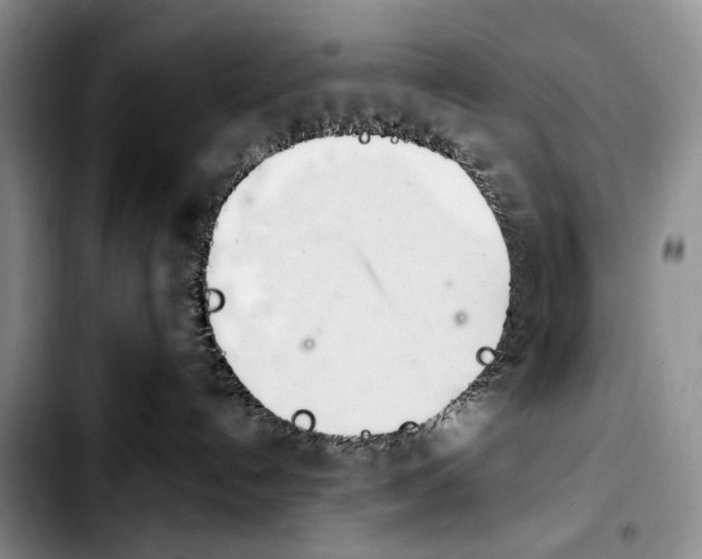 X0000103940192200810101424