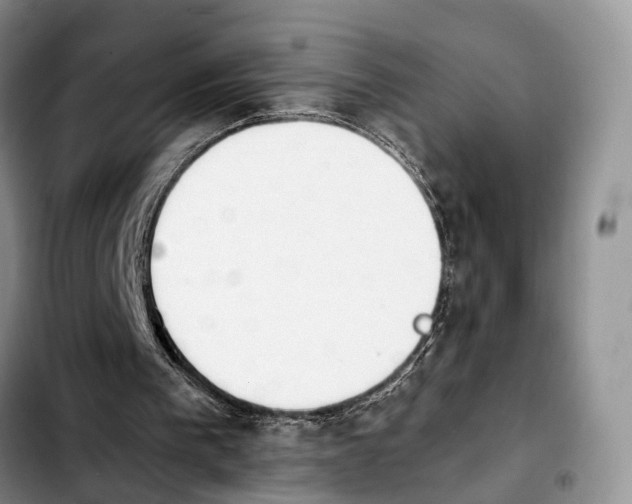 X0000103940193200810101423