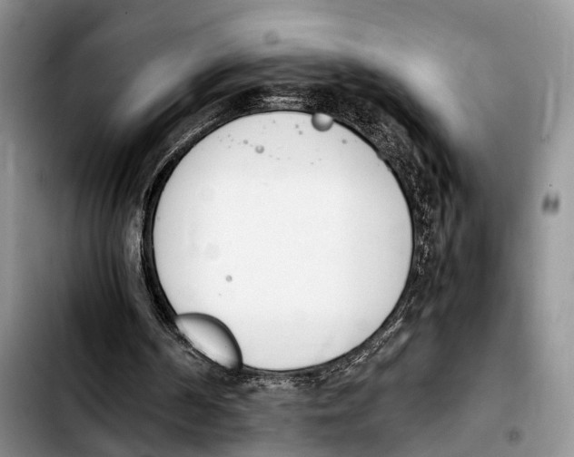 X0000103940194200810101423