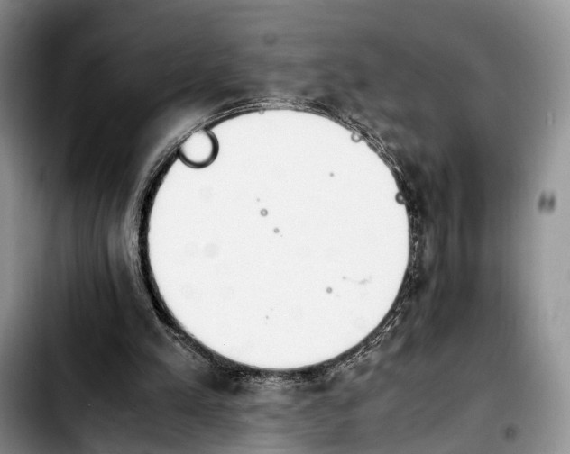 X0000103940197200810101423