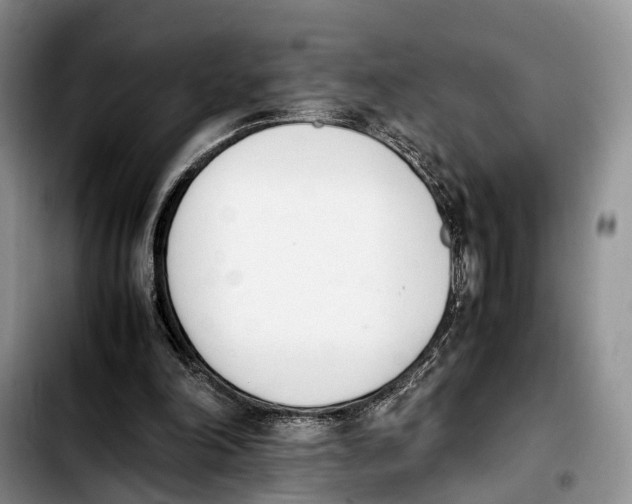 X0000103940198200810101423