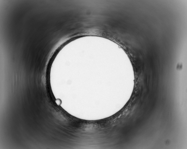 X0000103940200200810101423